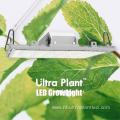 730nm Far Red Grow Light for Growing Indoor